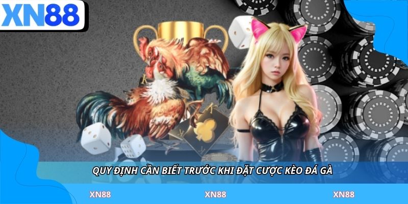 Quy định cần biết trước khi đặt cược kèo đá gà